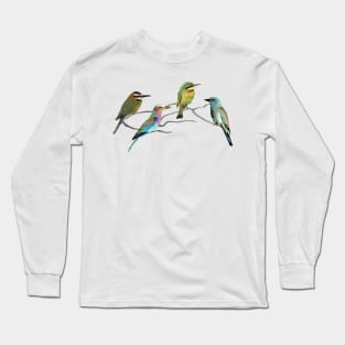 Bee-eater + Roller - Birds in Africa Long Sleeve T-Shirt